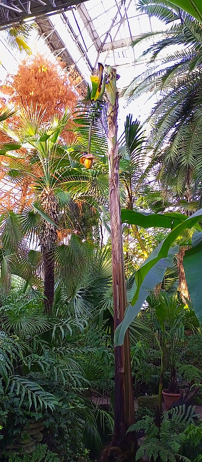 IMG 20221202 120718 330