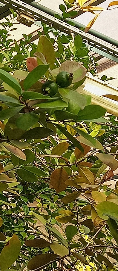 IMG 20221202 122534 872
